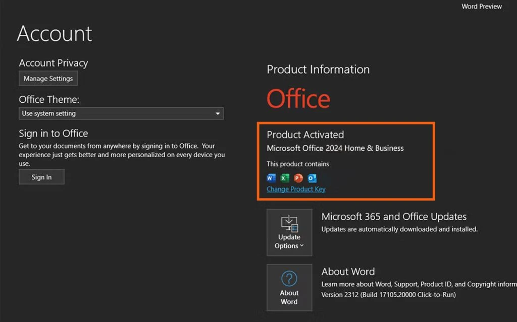 Microsoft Office 2024 Professional — License Key, Digital Delivery 5 Microsoft Office 2024 Professional Plus setup and installation illustration