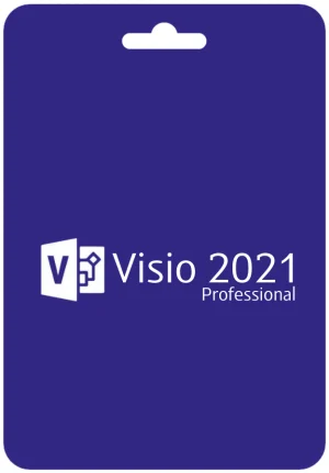 Microsoft Visio 2021 Professional