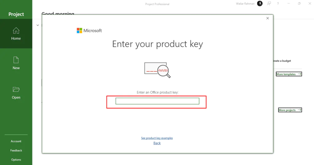 Microsoft Project 2021 Professional activation screen