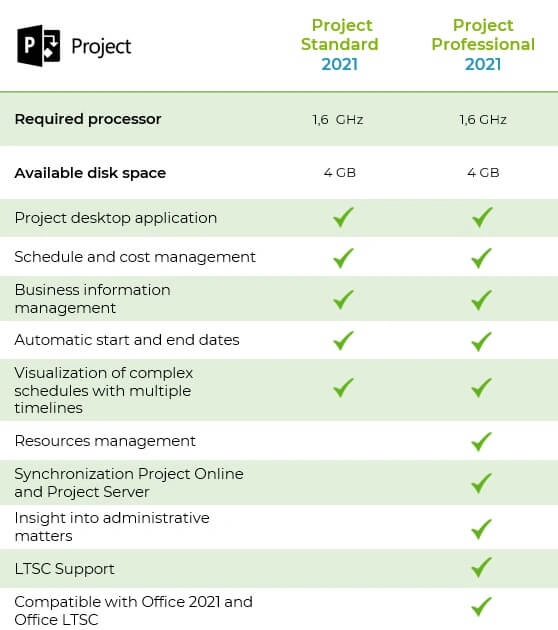 Microsoft Project 2021 Professional task scheduling and timeline view